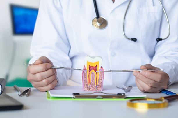 Best Urgent Tooth Repair  in Middleburg Heights, OH